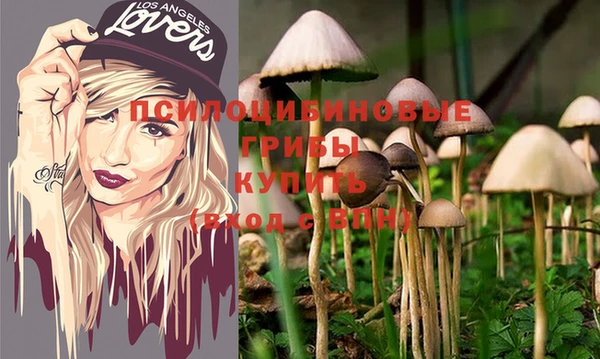 мескалин Мегион