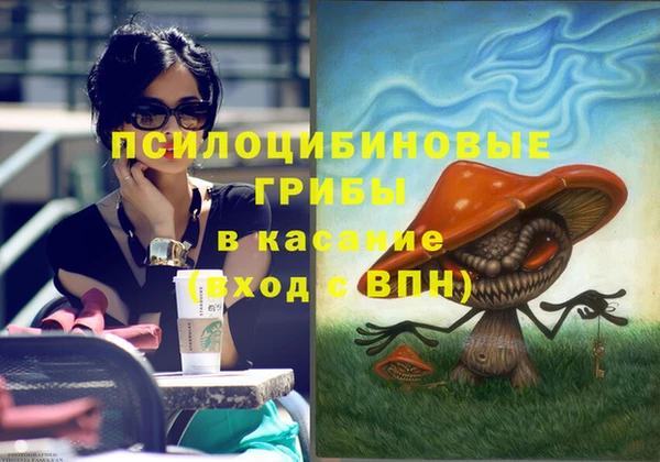 мескалин Мегион