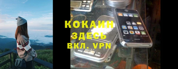 дживик Алапаевск
