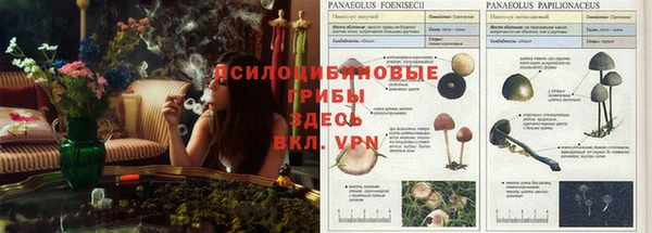 прущая мука Медногорск