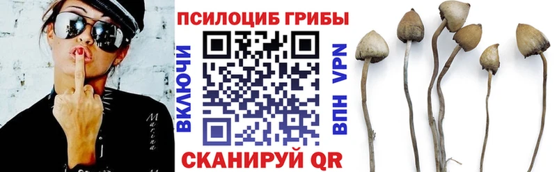 где продают   Мыски  Галлюциногенные грибы Magic Shrooms 
